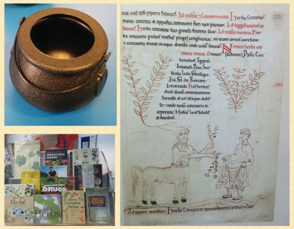 Harry Potter exhibition extract & herbal books
