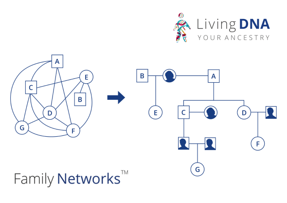 Living DNA Family Networks illustration